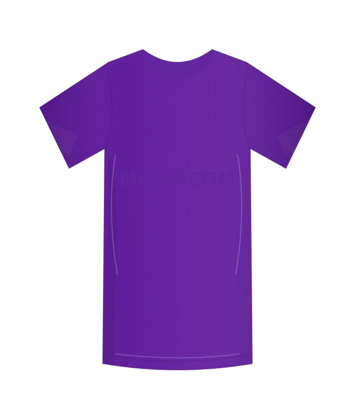 Fiorentina 2023/24 · Specjalna · Casa(37ª Serie A) — autorska rekonstrukcja
